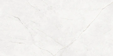 Керамогранит NL00 60x120x10 Непол.Рект. (Керамический гранит) #8