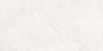 Керамогранит  NL04 60x120x10 Непол.Рект. (Керамический гранит) _5