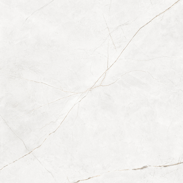 Керамогранит NL00 60x60x9 Непол.Рект. (Керамический гранит)-19