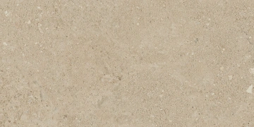 Керамогранит NP02 30,6x60,9x8 Непол. (Керамический гранит) #2