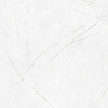 Керамогранит NL00 60x60x9 Непол.Рект. (Керамический гранит) #6