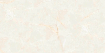 Керамогранит  RE03 40,5x40,5х8 Непол. (Керамический гранит) (43,296 м2) _6
