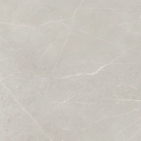 Керамогранит  NL01 60x60x10 Непол.Рект. (Керамический гранит) _18