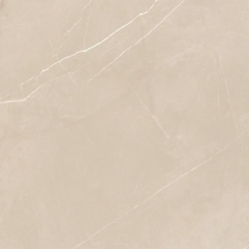 Керамогранит NL01 60x60x10 Полир. (Керамический гранит) #19
