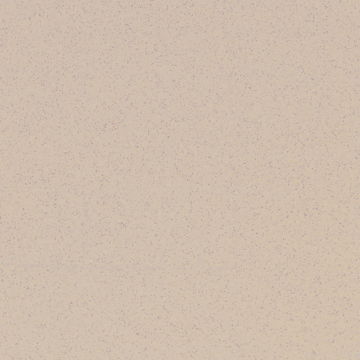 Керамогранит  TN00 60x60x10 Непол.Рект. (Керамический гранит) 