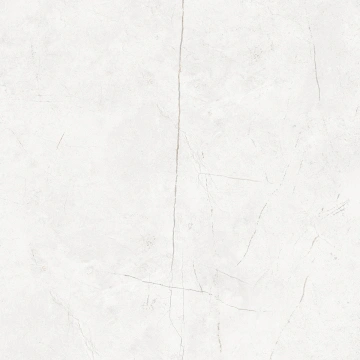 Керамогранит NL00 60x60x9 Непол.Рект. (Керамический гранит) #12