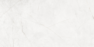 Керамогранит NL00 60x120x9 Непол.Рект. (Керамический гранит)-2