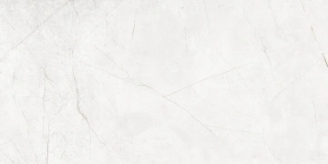 Керамогранит NL00 60x120x9 Непол.Рект. (Керамический гранит) #2