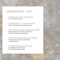 Керамогранит ASP01 60x120x9 Непол.Рект. (Керамический гранит) #9