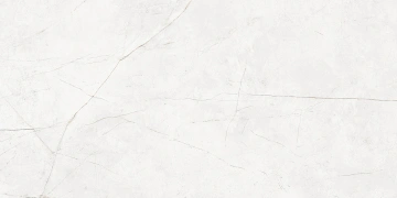 Керамогранит NL00 60x120x10 Непол.Рект. (Керамический гранит) #6