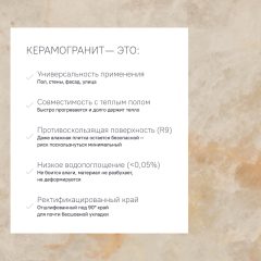 Керамогранит ASP02 60x120x9 Непол.Рект. (Керамический гранит) #8