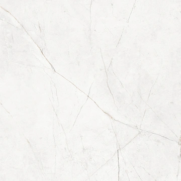 Керамогранит NL00 60x60x9 Непол.Рект. (Керамический гранит) #11