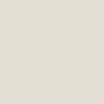 Керамогранит  YC001 60x60 Непол.Рект. (Керамический гранит) 