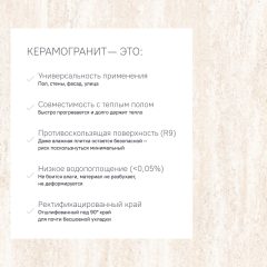 Керамогранит JZ102 60x120x9 Непол.Рект. (Керамический гранит) #8