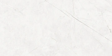 Керамогранит  NL00 60x60x10 Полир. (Керамический гранит) _4