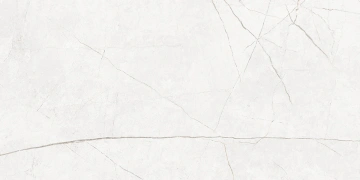 Керамогранит  NL00 60x60x10 Полир. (Керамический гранит) _3