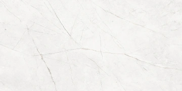 Керамогранит NL00 60x120x10 Непол.Рект. (Керамический гранит) #9