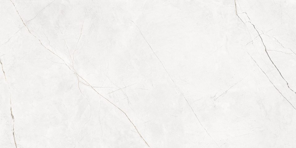 Керамогранит NL00 60x120x10 Полир. (Керамический гранит) — лицо плитки 9
