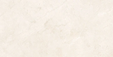 Керамогранит  SR04 60x120х10 Непол.Рект. (Керамический гранит) _7