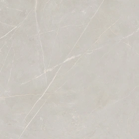 Керамогранит  NL01 60x60x10 Непол.Рект. (Керамический гранит) _7