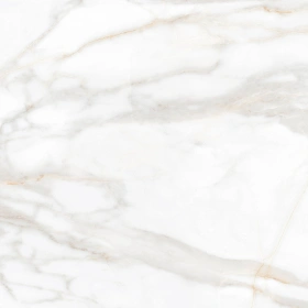 Керамогранит  YC45 60x60 Непол.Рект. (Керамический гранит) _13