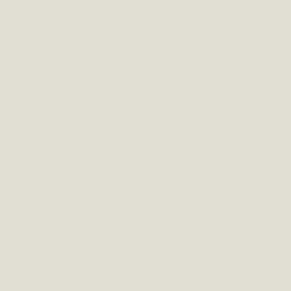 Керамогранит YC05 60x60 Непол.Рект. (Керамический гранит)-1