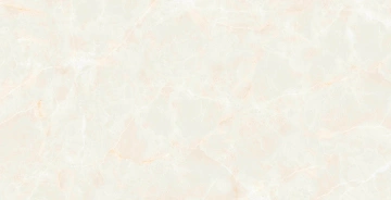 Керамогранит  RE03 40,5x40,5х8 Непол. (Керамический гранит) (43,296 м2) _7