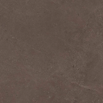 Керамогранит  GO01 60x60 Непол.Рект. (Керамический гранит) _5