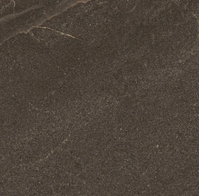 Керамогранит  BG00 19,4x120x10 Непол.Рект. (Керамический гранит) _10