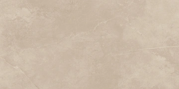 Керамогранит  GO02 60x60 Непол.Рект. (Керамический гранит) _5