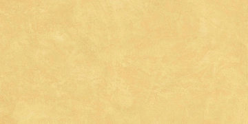 SR04 60x120х9 Непол.Рект. (Керамический гранит)_1