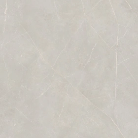 Керамогранит  RE04 30,6x60,9x8 Непол. (Керамический гранит) _7