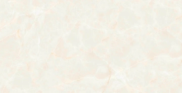 Керамогранит  RE03 40,5x40,5х8 Непол. (Керамический гранит) (43,296 м2) _1