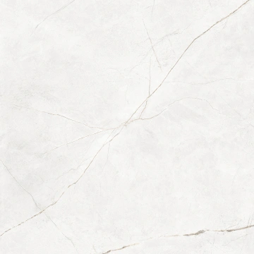 Керамогранит NL00 60x60x10 Непол.Рект. (Керамический гранит) #18