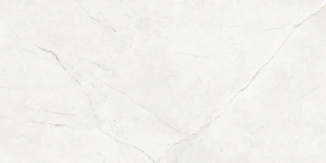 Керамогранит  NL00 60x60x10 Полир. (Керамический гранит) _7