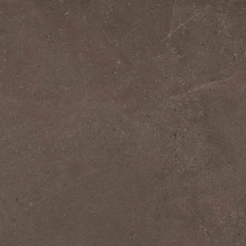 Керамогранит  GO01 60x60 Непол.Рект. (Керамический гранит) _3