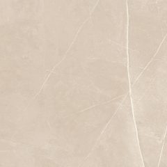 Керамогранит NL01 60x60x10 Непол.Рект. (Керамический гранит) #5