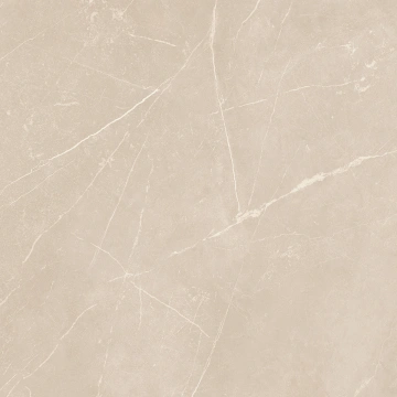 Керамогранит NL01 60x60x10 Полир. (Керамический гранит) #16
