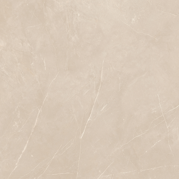 Керамогранит NL01 60x60x9 Полир. (Керамический гранит)-16