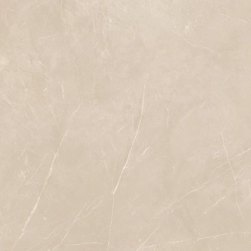 Керамогранит  NL00 60x60x9 Полир. (Керамический гранит) _15