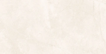 Керамогранит  SR04 60x120х10 Непол.Рект. (Керамический гранит) _2